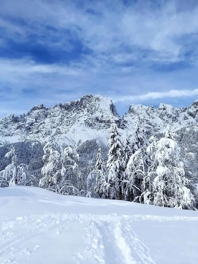 Haus Gobbis Transformational Retreat In The Dolomites Villa Gosaldo 0*,